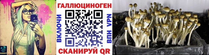 Псилоцибиновые грибы ЛСД  Шумиха 